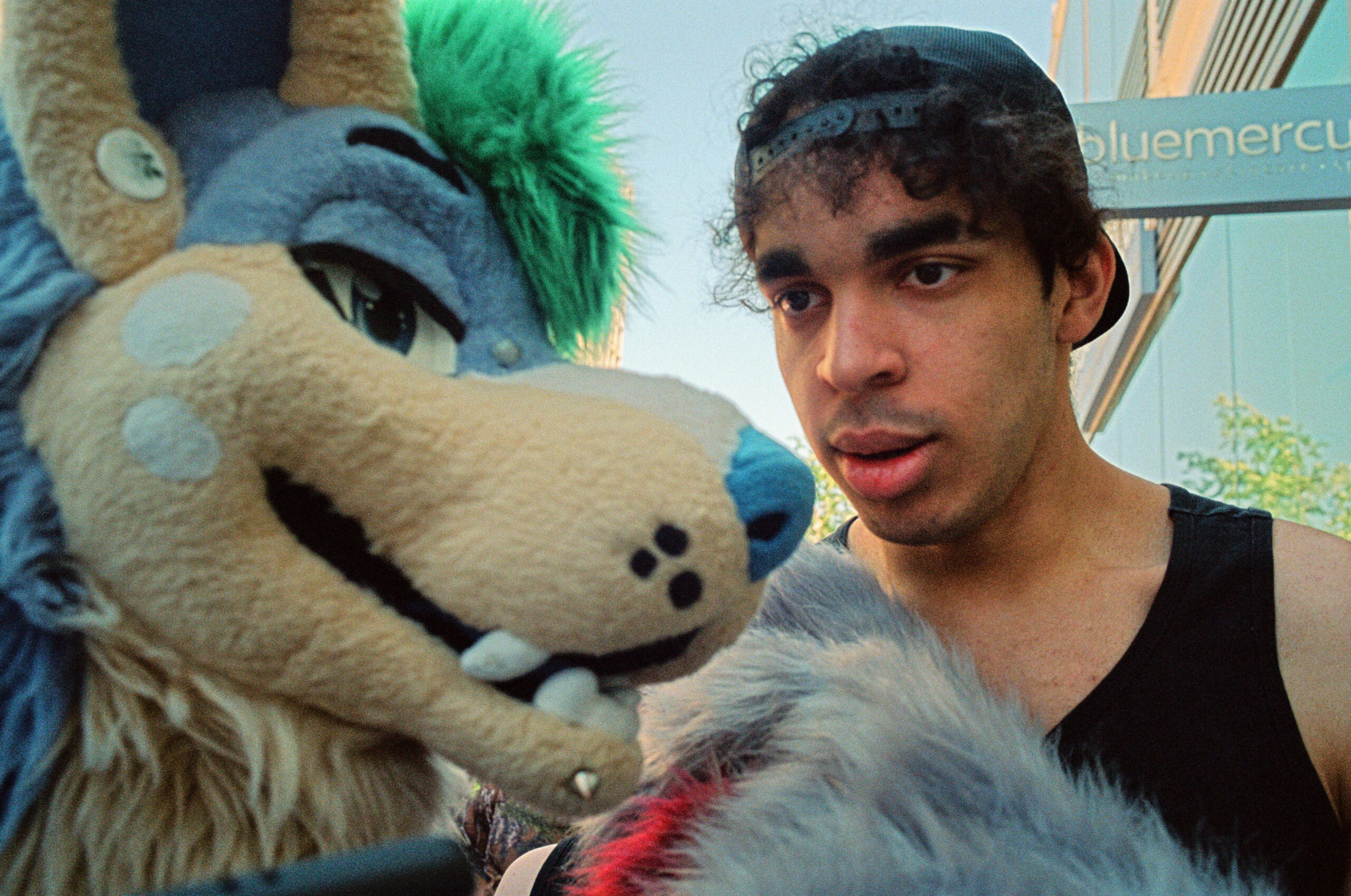 Furry Friend_000020680038